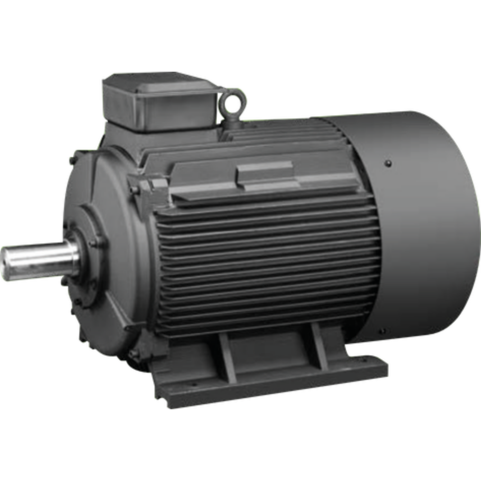 45 kW -1000 Rpm IE4   250YS-K10FWJ453 Sabit Mıknatıslı Senkron Motor